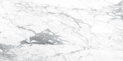  RAGNO INCANTO PAONAZZETTO GL RT 60x120 