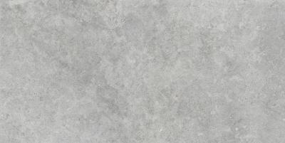  RAGNO RICHMOND Silver Rett 60x120 