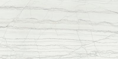 Platinum White Cer 60x120