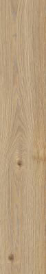  RAGNO SECRET Naturale 20х120 RT 