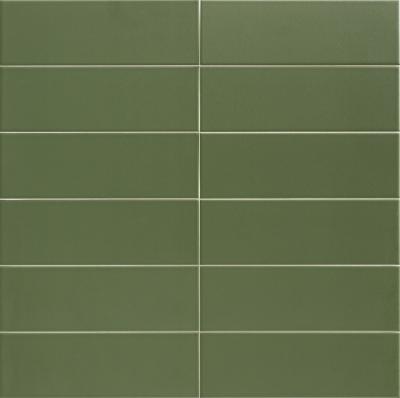  MAINZU JUNGLE Olive 10х30 