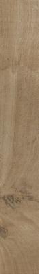  RAGNO NODIS Natural 10х70 