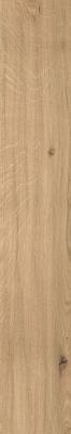 Icon Oak Forest 20x120