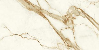 Calacatta Imperiale 75x150 Lappato