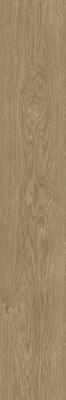  FAP CERAMICHE PLEIN AIR Nut Matt R9 20x120 RT 