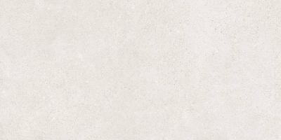BLANCO 60X120 REC