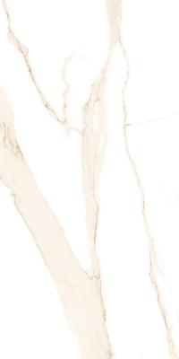  Absolut Gres RICATO BROWN Brown gloss 1200x600 