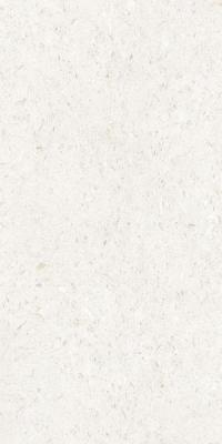  CERDOMUS MIRALITH Gesso Matt 60x120 RT 