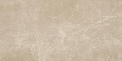 Gris Clair 40x80