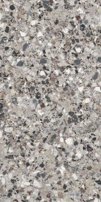  CERDOMUS NEOCLASSICA Diorite Brushed 60x120 RT 
