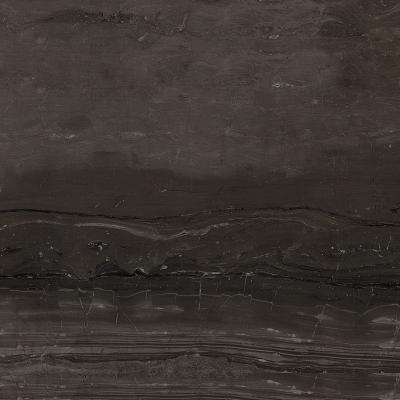 Absolute Brown 60x60 Lappato