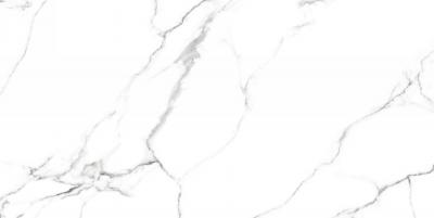  NEODOM Massimo Mckinley Polished 80x160 
