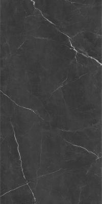  Absolut Gres Roma black Roma black 120x60 