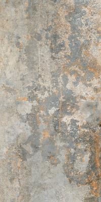 Silver Luxglass 60x120 Rec.