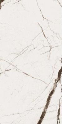  Absolut Gres WONICY WHITE White matt 1200x600 