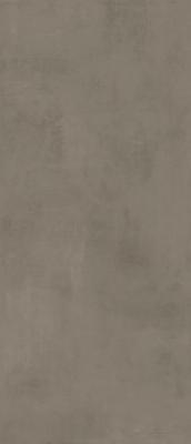 Taupe 120x278