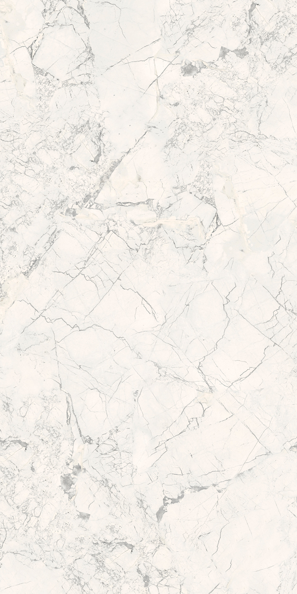  ALPAS EURO PREMIUM MARBLE Breccia Silver Carving 6 mm 60x120 
