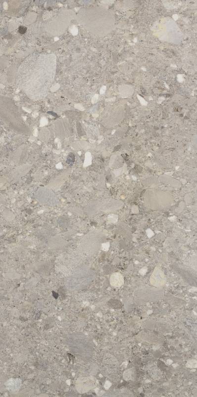  CIR SERENISSIMA CEPPO DI GRÈS Ceppo di Gres Grigio Rett 60х120 