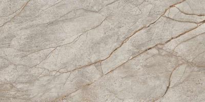  АТЛАС КОНКОРД EMPIRE Silver Root Rett 60x120 Lapp 