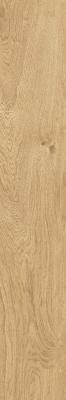  FAP CERAMICHE PLEIN AIR Gold Matt R9 20x120 RT 