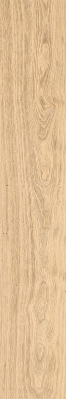Керамогранит DEL CONCA NATIVE Rovere Naturale матовая 20x120 21NI11R