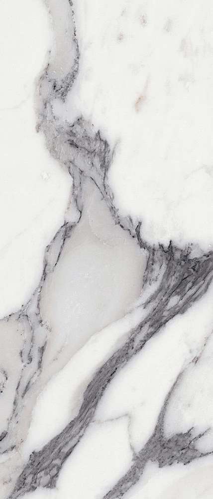  FLORIM-LUXURY LES ORIGINES DE REX ARGENT GLO 6MM 120X280 R 