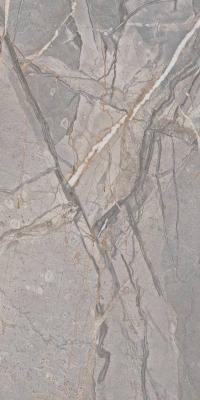  CIR SERENISSIMA AMARANTO Grey Rett 60х120 