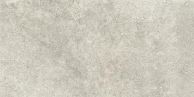  RAGNO RICHMOND Taupe Rett 60x120 
