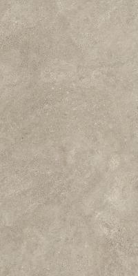 Oyster 60x120