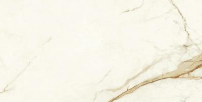 Calacatta Imperiale 75x150 Silk