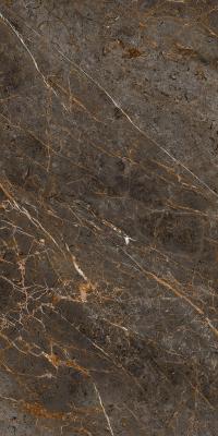 AE GOL6 12 LP 60x120