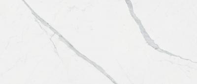 STATUARIO FINE JL 01 SP SQ 120x278x6
