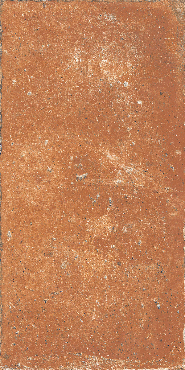  SADON (RONDINE GROUP) TUSCANY San Miniato Brunello 20.3x40.6 