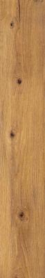  CIR SERENISSIMA I ROVERI Rovere Intenso Ret 20x120 