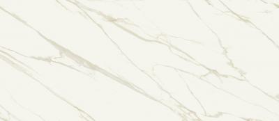 Calacatta Gold Silk 120x278