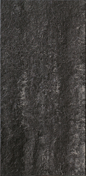 MICRON R36N 30x60
