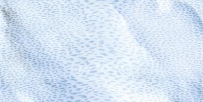 OCEANBLU RET 60x120