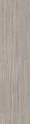 PLANK 05 STRUC 10MM 30X120RE