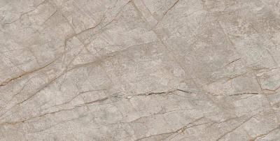  АТЛАС КОНКОРД EMPIRE Silver Root Rett 80x160 