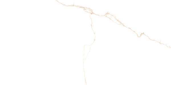 Керамогранит PRISSMACER SG.BIANCO MARE GOLD полуполированная 60x120 508690023831