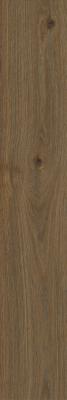  RAGNO SECRET Marrone 20х120 RT 