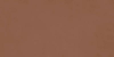  RAGNO DECORA Terracotta Rett 60x120 