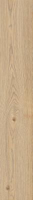  RAGNO SECRET Miele 20х120 RT 