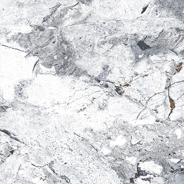  Absolut Gres ORDITO GREY Grey gloss 600x600 