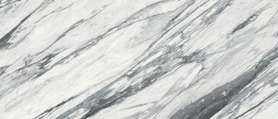 STATUARIO FANTASTICO CP 04 LUC SQ 120x278x6