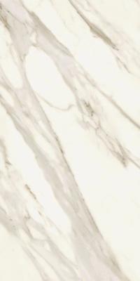 Calacatta Bernini 60x120