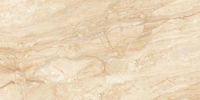 DYNAMO POLISHED 60x120