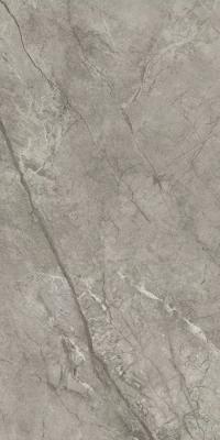 Silver Majestic 60x120