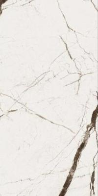  Absolut Gres WONICY WHITE White gloss 1200x600 