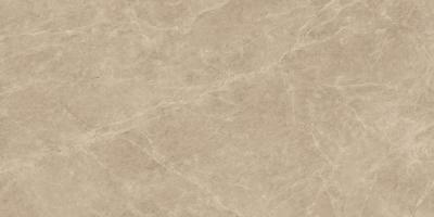 Elegant Sable 120x240 Lappato